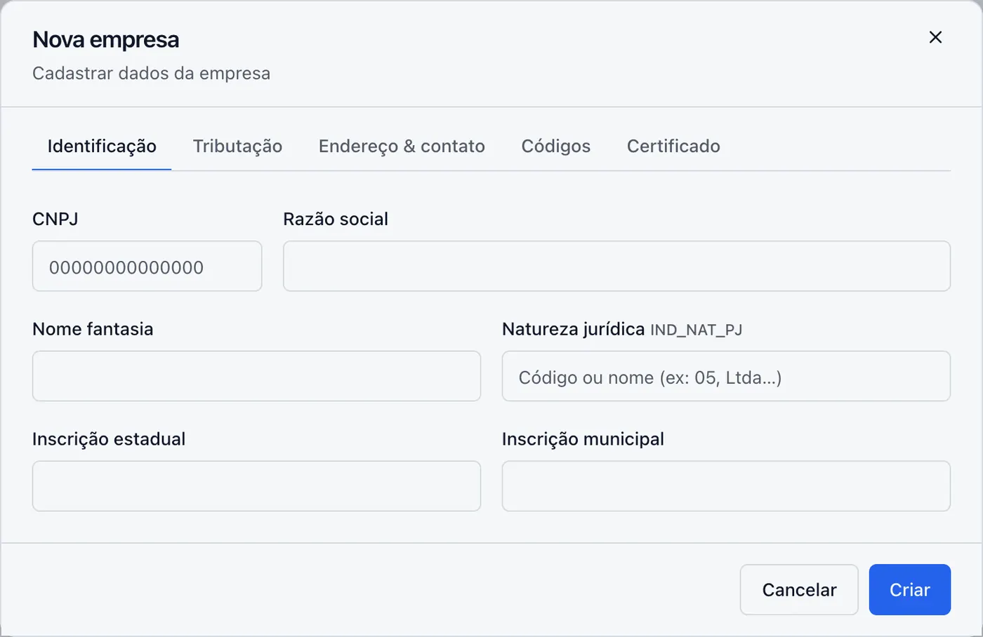 Formulário de empresa na aba Identificação